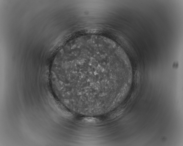 X0000112160557200908281406