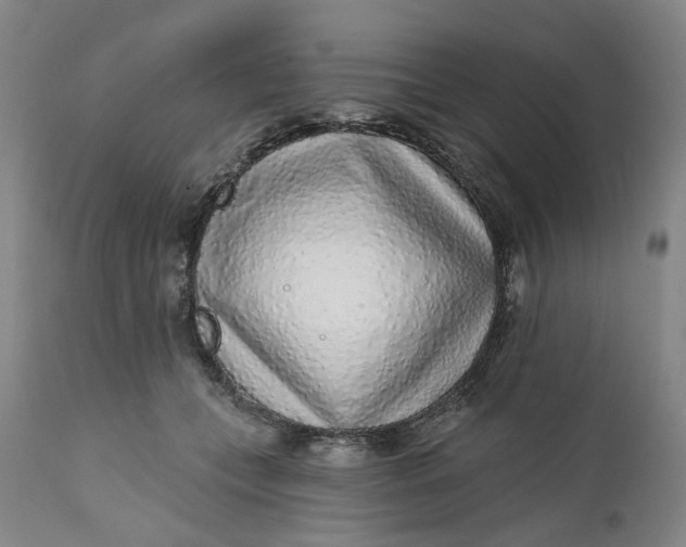 X0000112160559200908281406