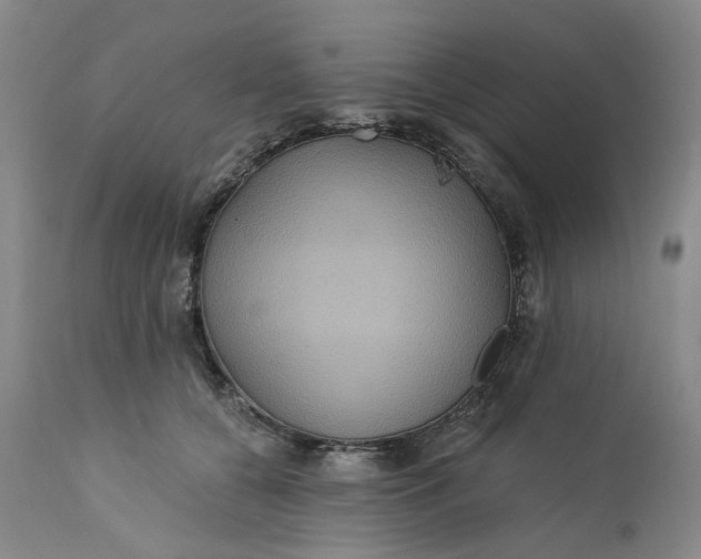 X0000112160560200908281406