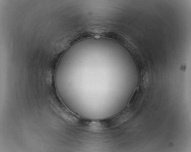 X0000112160562200908281406