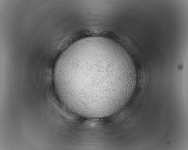 X0000112160563200908281407