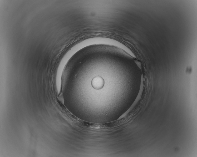 X0000112160564200908281407