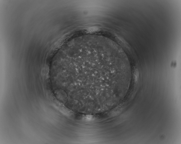 X0000112160565200908281407