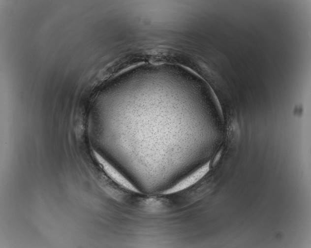 X0000112160566200908281407