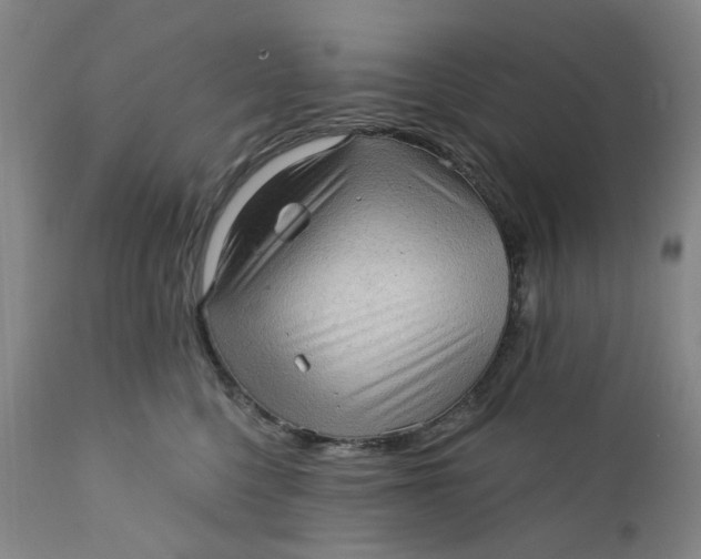 X0000112160568200908281407