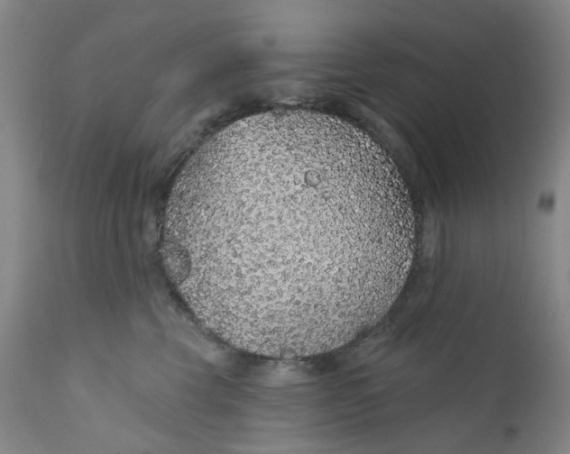 X0000112160569200908281407