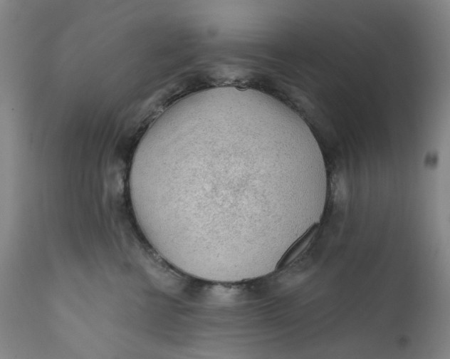 X0000112160570200908281407