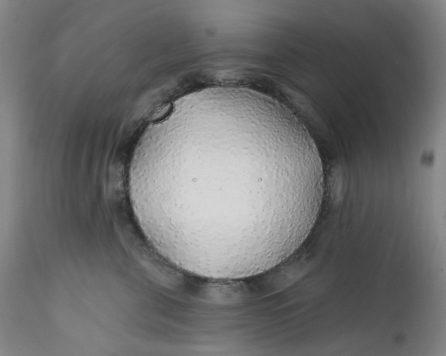 X0000112160571200908281407