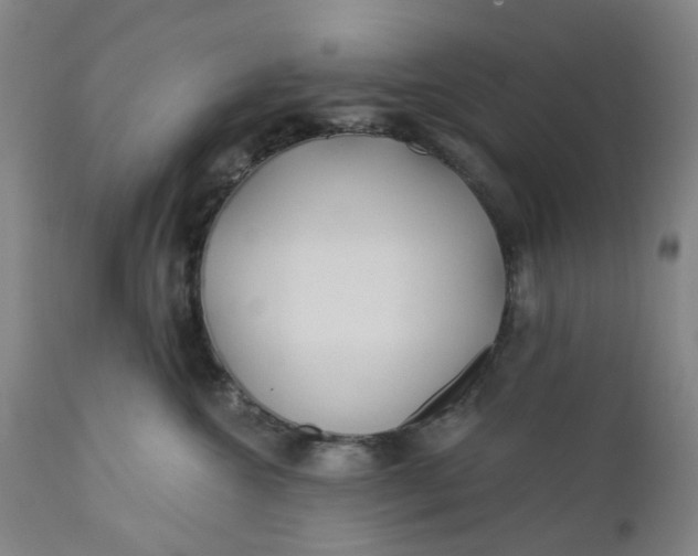 X0000112160572200908281407