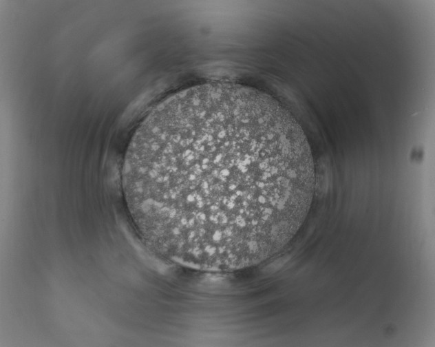 X0000112160573200908281407