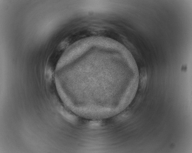 X0000112160574200908281407