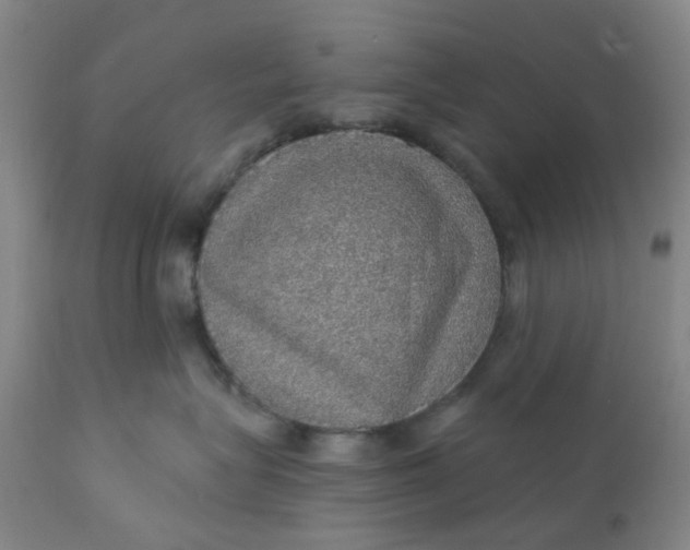 X0000112160575200908281407