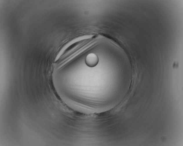 X0000112160576200908281407