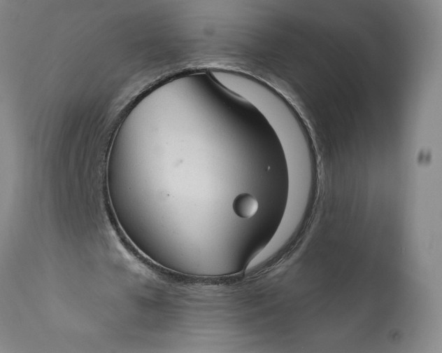 X0000112160577200908281406