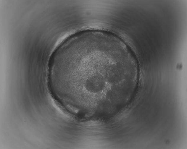 X0000112160578200908281406