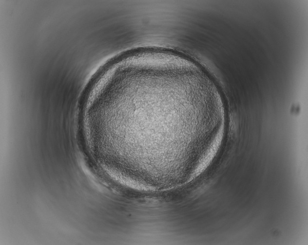 X0000112160580200908281406