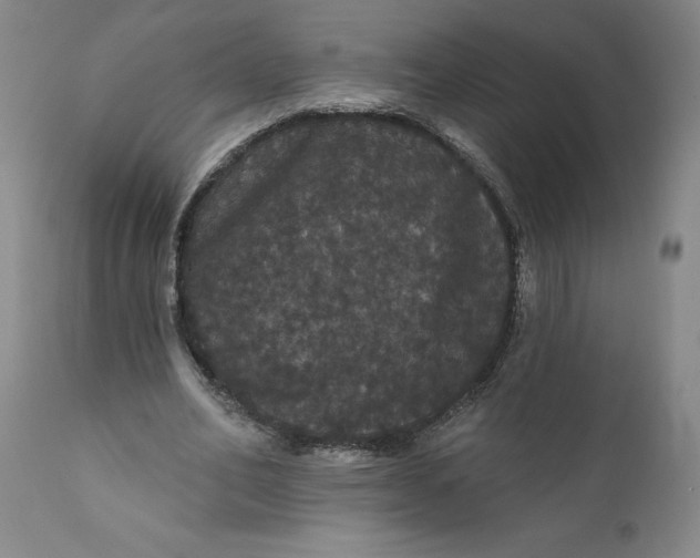 X0000112160582200908281406