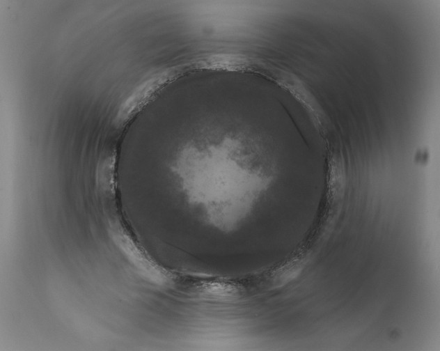 X0000112160585200908281406