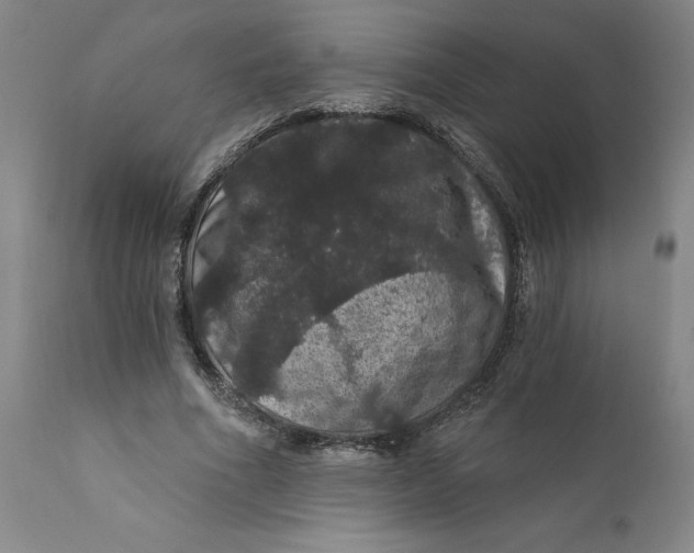 X0000112160586200908281406