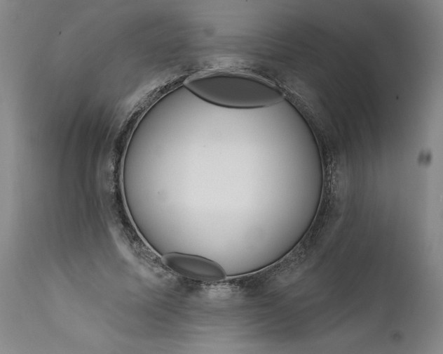 X0000112160587200908281406