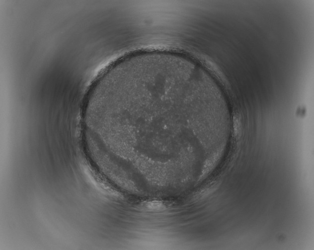 X0000112160588200908281406