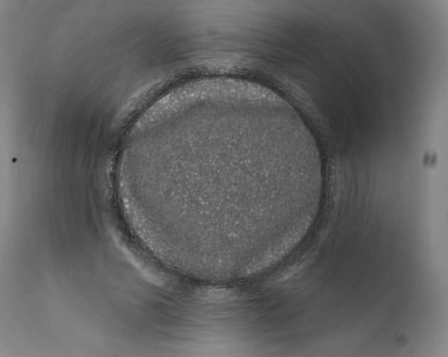 X0000112160590200908281406