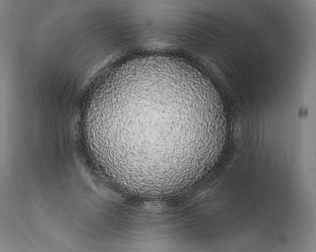 X0000112160591200908281406