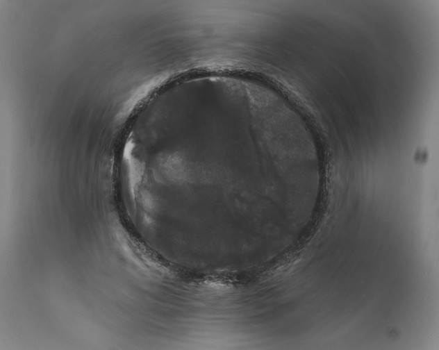 X0000112160592200908281406