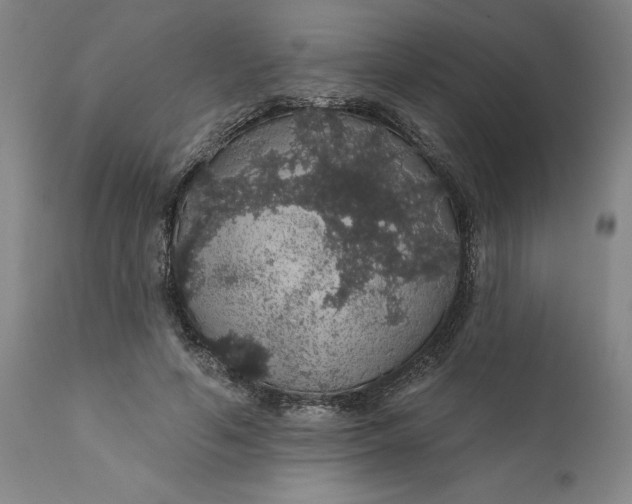 X0000112160594200908281406