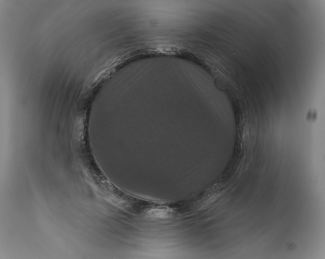 X0000112160595200908281406