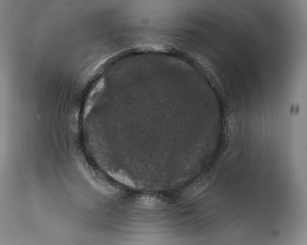 X0000112160596200908281406