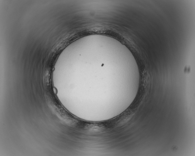 X0000112160597200908281406