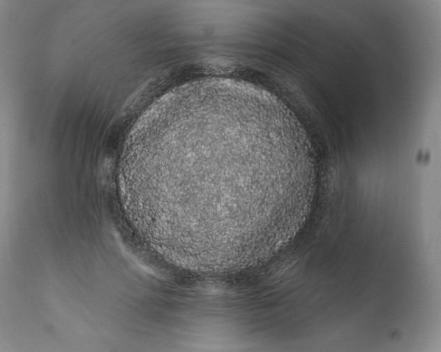 X0000112160598200908281406