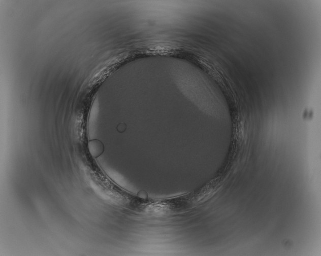 X0000112160599200908281406