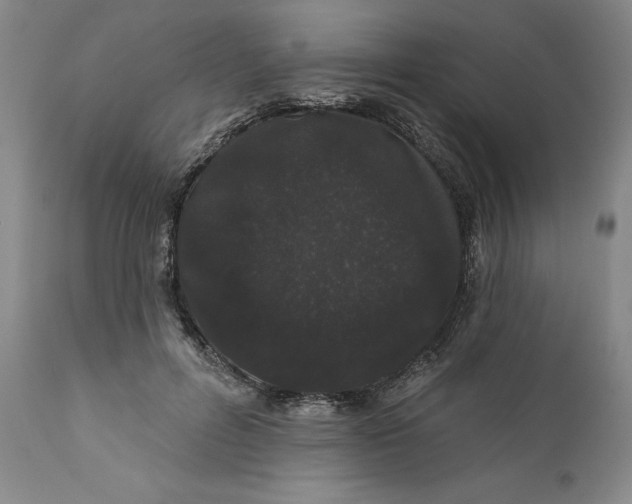 X0000112160600200908281406