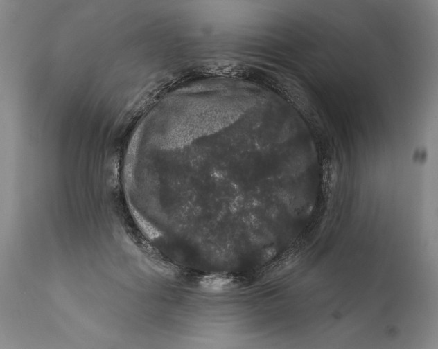 X0000112160602200908281406