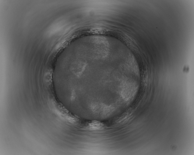 X0000112160603200908281406