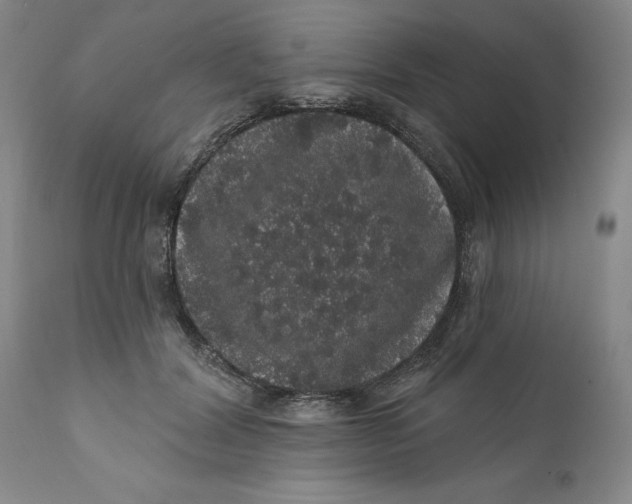 X0000112160604200908281406