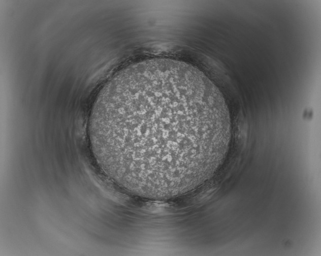 X0000112160607200908281406