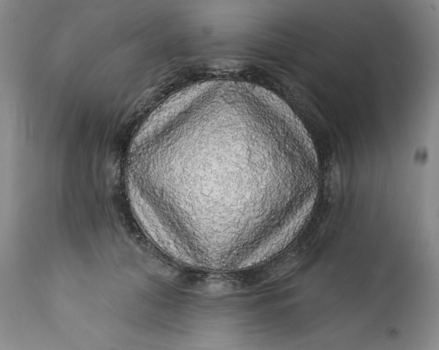 X0000112160608200908281405