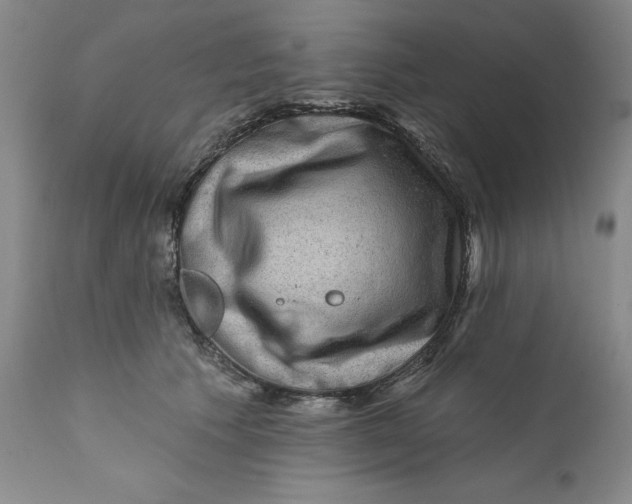 X0000112160609200908281405