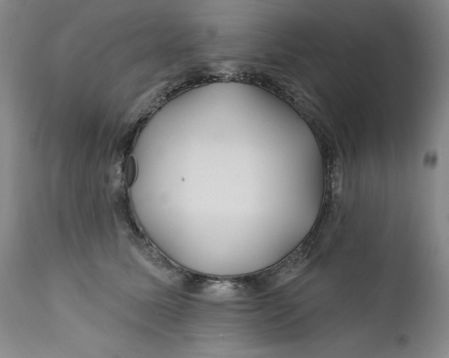 X0000112160611200908281405