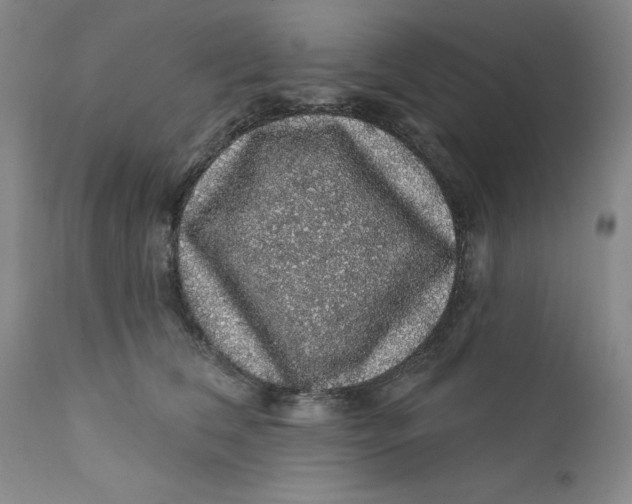 X0000112160612200908281405