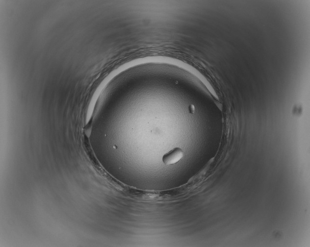 X0000112160613200908281405