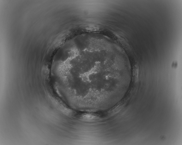 X0000112160614200908281405