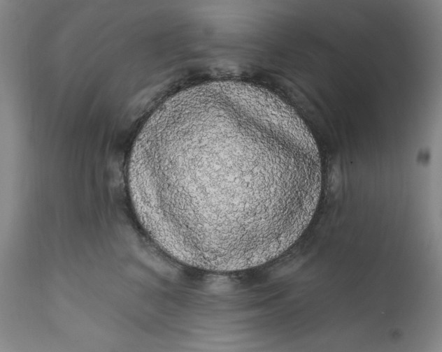 X0000112160616200908281405