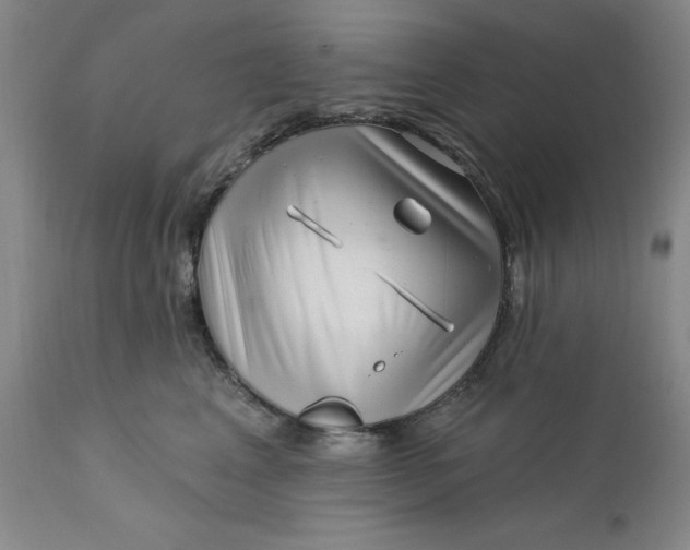 X0000112160617200908281405