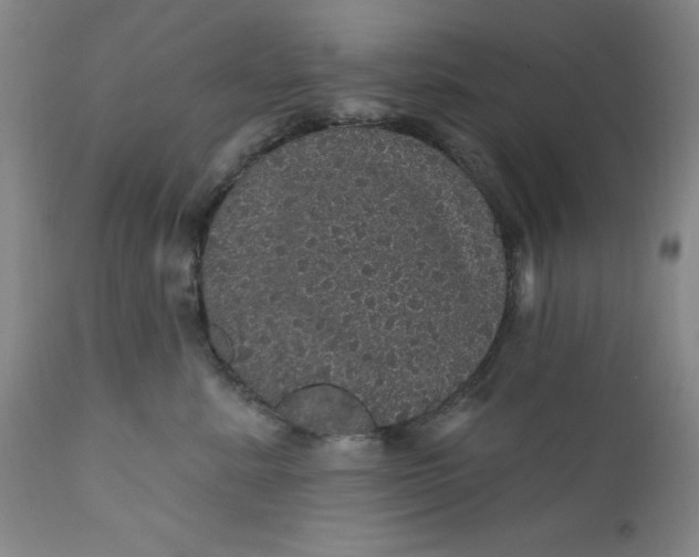 X0000112160619200908281405