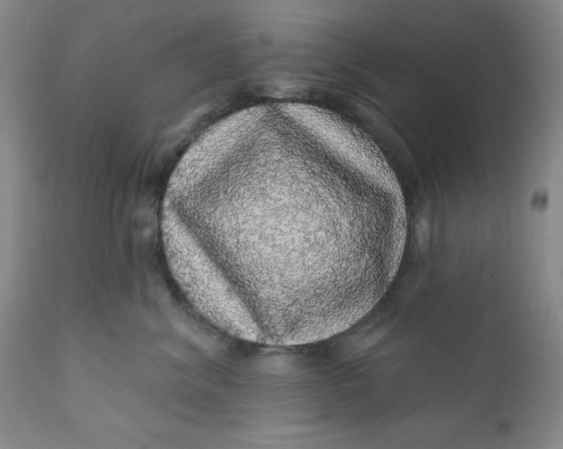 X0000112160620200908281405