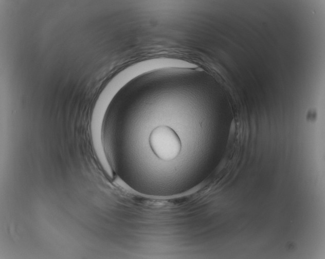 X0000112160621200908281405